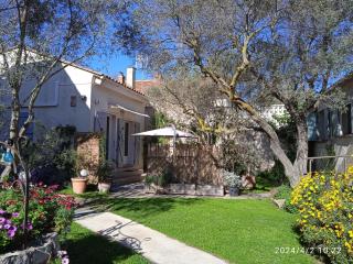 Les Oliviers de Camargue - 0