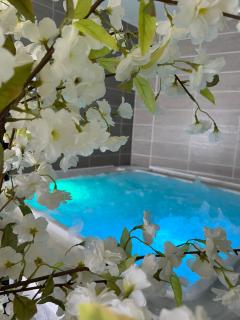 Hôtel Calme Des Pins & Spa - Les Sables-dʼOlonne - 4