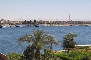 Elminaa Residents 2 - Luxor - 1