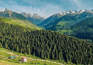 Горный дом ЛЕС и ГОРЫ Dinarsky - Karakol - 8