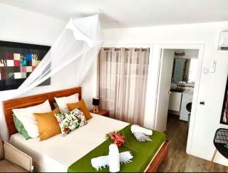 Coco Breeze - Anse des Rochers - 7