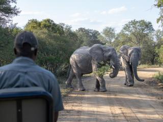 Ukanyi Luxury Villa - Hoedspruit - 7