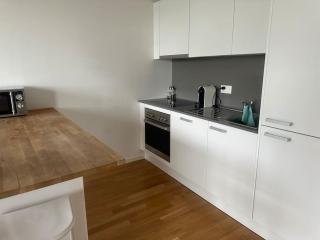 Logement spacieux proche de Lausanne - 2