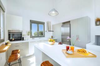 Olive Apt - Akrotiri - Kounoupidhianá - 3