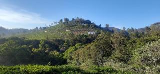 Wilderness Vila - Kotagiri - 4