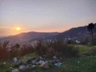 Seven Endue Delight - Ooty - 2