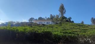 Wilderness Vila - Kotagiri - 0