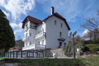 La Villa Concorde - Gérardmer - 3