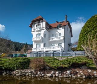 La Villa Concorde - Gérardmer - 9