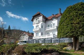 La Villa Concorde - Gérardmer - 8