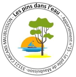 Les pins dans l'eau - Carcans - 3