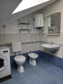Apartman Tatjana - Šišan - 2