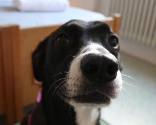 Ostello e Camere Private Prima Luce Foresteria - 3