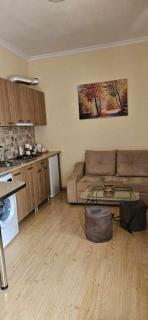 Guest House Bochora - Borjomi - 2