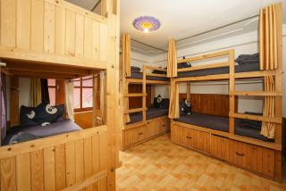 Hippie Panda Hostel - Manali - 1