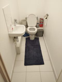 BEAU APPARTEMENT - Suresnes - 8