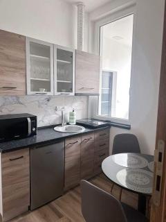Apartmani M.&.B Luks 2 - Mataruška Banja - 8