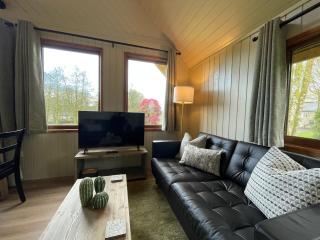RoseTree Lodge 3 bed Sleeps 6 - Michaelstow - 4