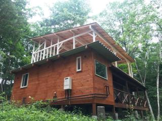 Kitakaruizawa Morino Bessou NO3 - Tsumagoi - 8