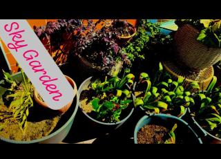 140m2 Top FloorCentral Loft 24hr Self Check-in - 7