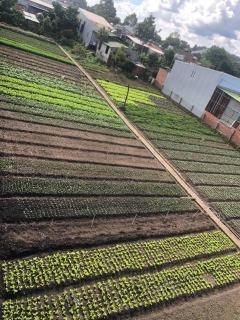 miniHomestay green view - standard room - 2 persons - Ea Kar - Dak Lak - 4