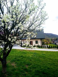 Zielone Zacisze domki - 9