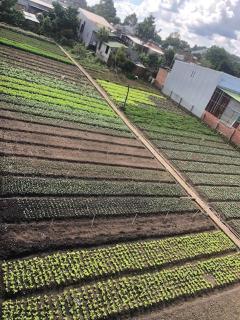 miniHomestay green view - vip room - 2 persons - Ea Kar - Dak Lak - 6