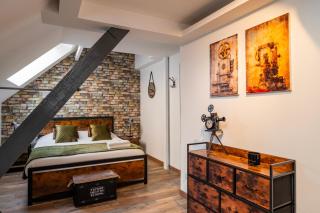 Petit cocon ciné, animaux ok, à 2 pas du centre - 4