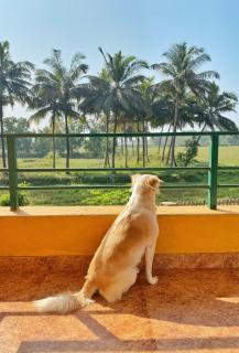 Bluebell Meadows 2BHK - 4