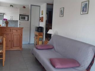 Petite maison climatisée avec terrasse, piscine, tennis à Bormes-les-Mimosas, à 5 min de la plage - FR-1-251-815 - Bormes-les-Mimosas - 8