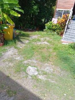 Sous le manguier - 6