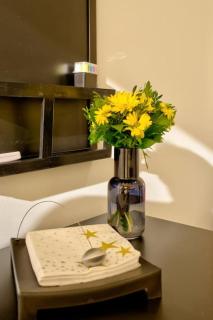 Kalemegdan Central Apartment - Belgrado - 7