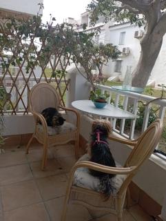 Apartamento Laguna Beach Torrox Costa - Torrox Costa - 5