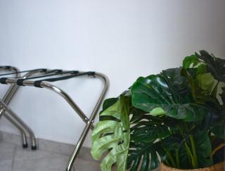 Daphne's studio 2 - Skiathos - 5