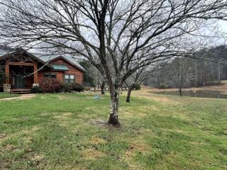 Deluxe Parkland Cabin - Pet and Motorcycle Friendly Home - Tellico Plains - 8