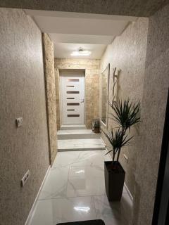 Apartman Little garden near Airport - 3