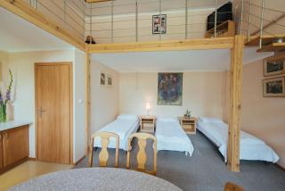 Hotel Pod Sosnami - Osieck - 8