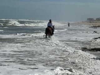 Flagler Beach Ocean Front Villa w/ Lg. In ground Pool-5-6Br/4Bth& attached apt - Flagler Beach - 8