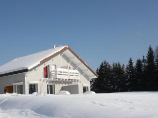 Gîte calme avec terrasse près de Gérardmer - FR-1-589-158 - Le Tholy - 1
