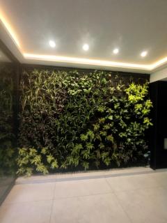 Colegiales apartment - Buenos Aires - 1