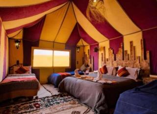 NightStars Luxury Camp - 5