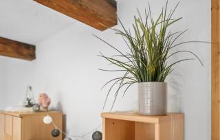 Lovely Apartment In Kargow With Wifi - Kargow - 2