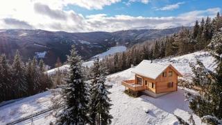 Holzfäller-Chalet - Obdach - 0