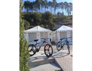 The Monkey Tail Resort, barkot - Barkot - 4