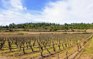 Lovely Home In Saint-Laurent-De-La-Ca - 9
