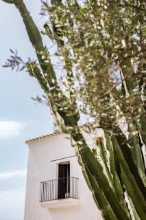 Finca Legado Ibiza - 6