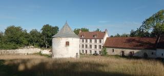 Bergerie du château - Alette - 7