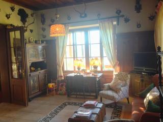 Charming Villa Lynden at foot of Loser, overlooking lake - Altaussee - 2