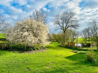 Ferienwohnung mit Luxusbad, Terrasse Ostseenähe - Gremersdorf - 9