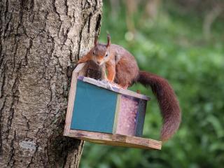 Pirnmill Home with a view - 8